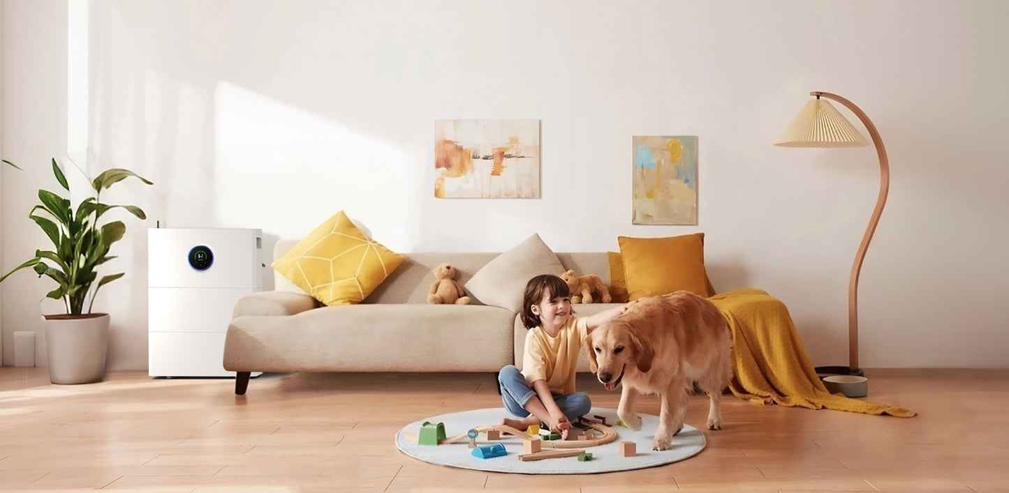 Vorbestellung GoodWe ESA-Athena All-In-One Balkonkraftwerk